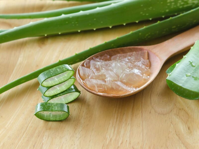 Pure Aloe Vera (Multipurpose Gel)